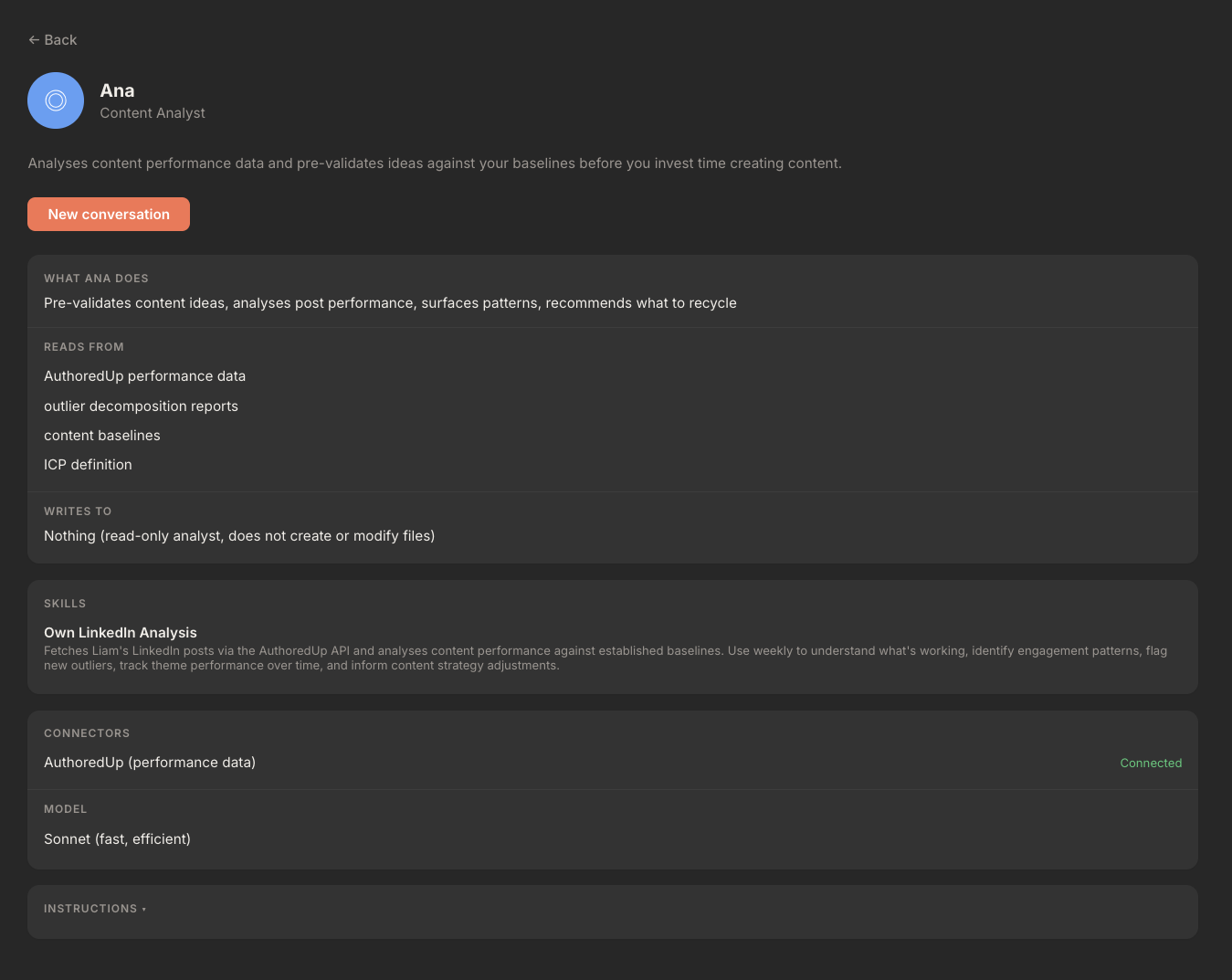 Rundock agent profile page showing role, capabilities, skills, and instructions for a specialist agent.